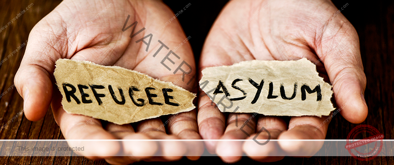 Asylum Applications