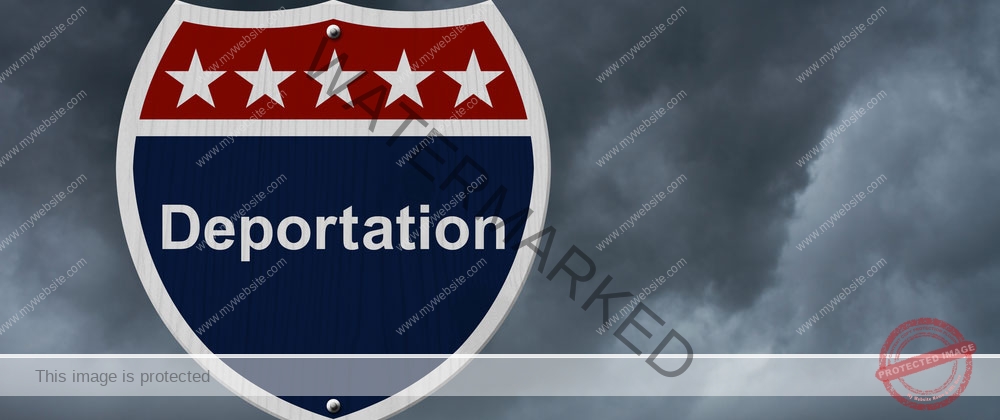 New York City deportation