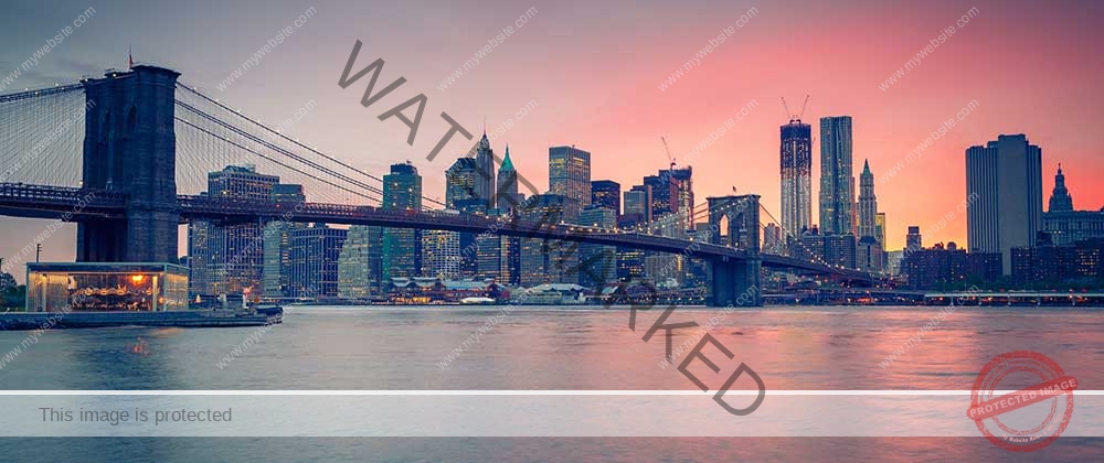Manhattan Ice Arrest