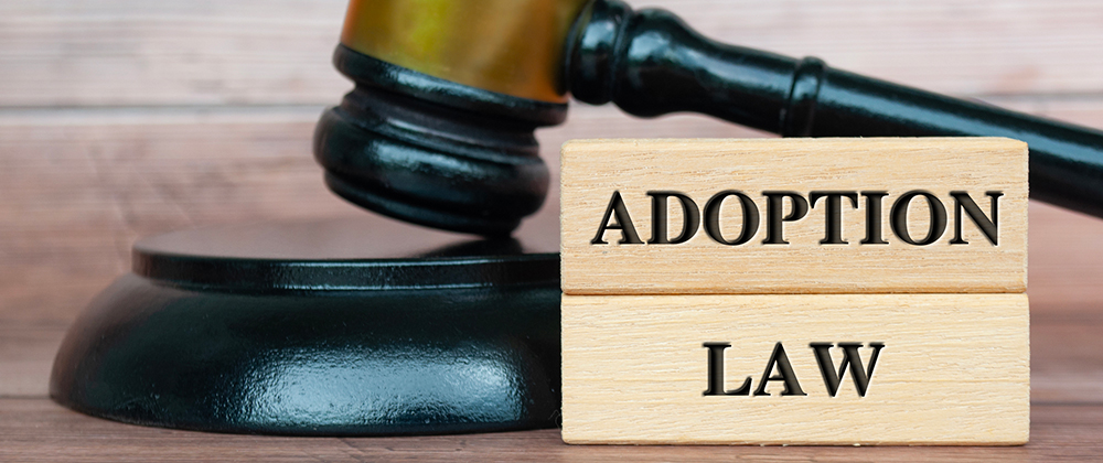 New York intercountry adoption lawyer
