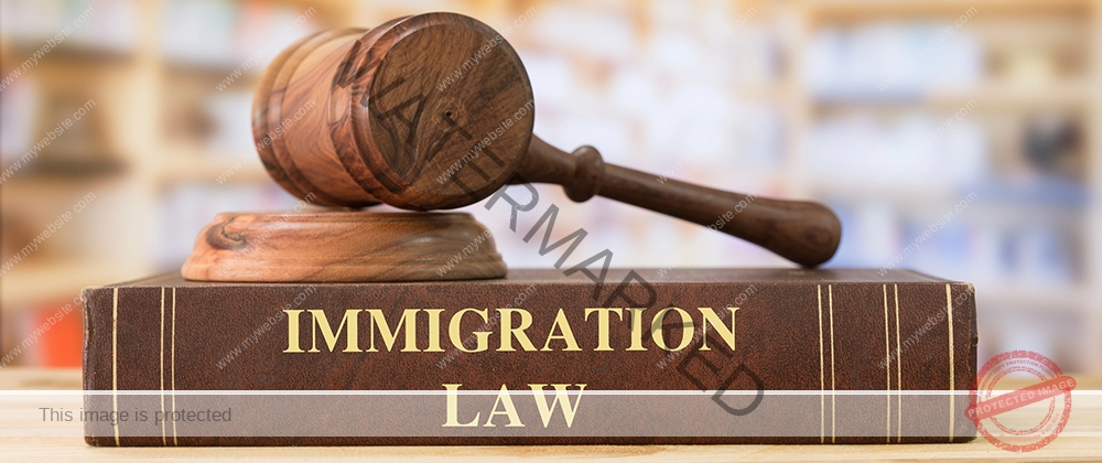 New York U Visa lawyers
